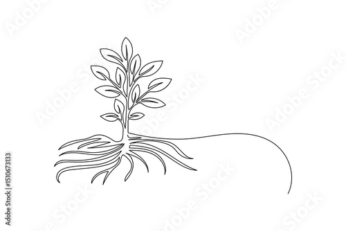 Plant growth process minimalist continuous one line art