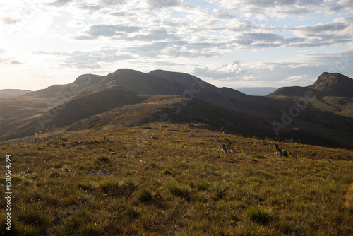 mountain range saw trail route golden grass travel view landscape gold