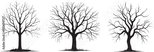 set of silhouettes of trees