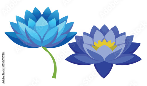 Two blue lotus flowers illustration graphic design