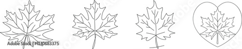 maple leaf line drawing, maple leaves free hand line art drawing, doodle drawing vector illustration