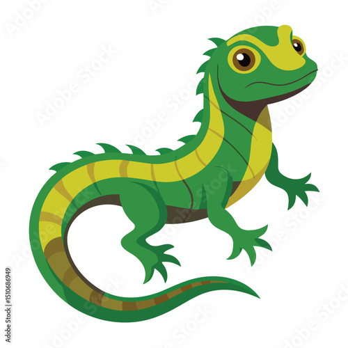 lizard vector image on white background