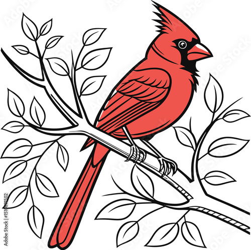Cardinal bird coloring book page vector art