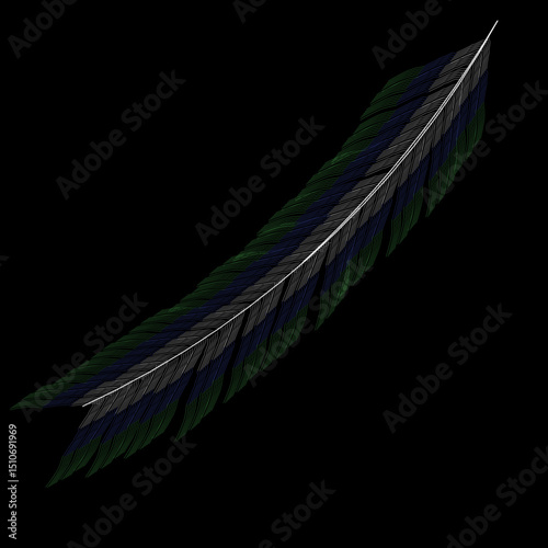 Elegant iridescent bird feather on black background