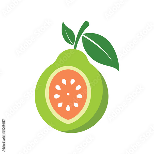 vector illustration of a guava
