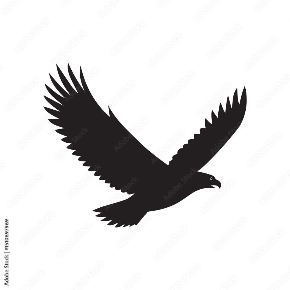 Fototapeta premium Eagle vector illustration, Silhouettes of the sea eagles, black and white eagle silhouettes.