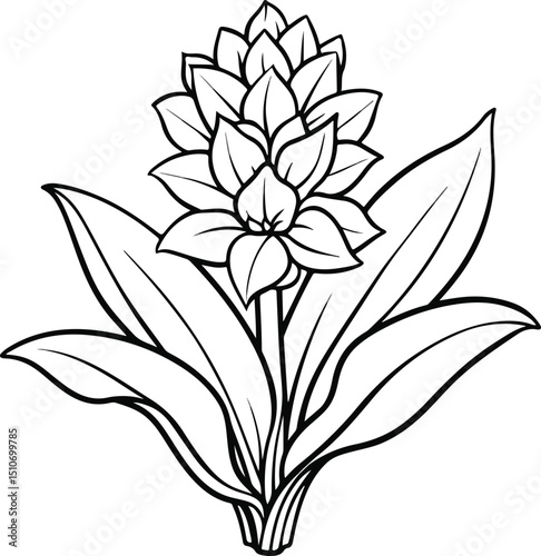 Simple line art 