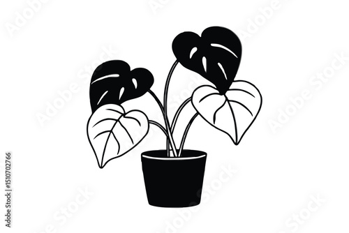 Black and white line art monstera plant in pot