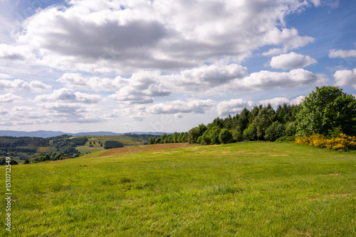 Prairies d'altitude au sud des Vosges
