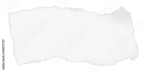Vector torn paper rectangle with white texture and rough cut look, ideal for web design dividers, collage assets, vintage branding, or printable design resources with clean style