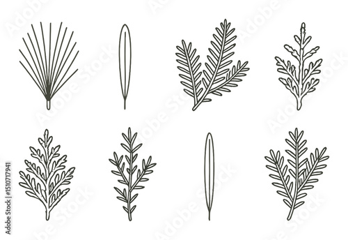 Evergreen leaf icon set in silhouette style. botanical and nature symbols collection