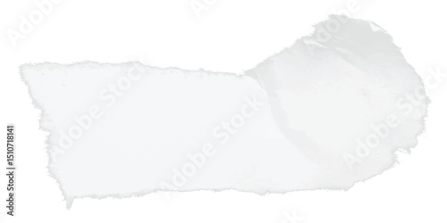 Neutral toned ripped note vector with natural-looking edge curves, ideal for background framing, product display mockups, and digital collage design assets