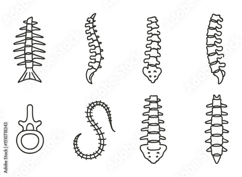 Animal spines silhouette icon set. vertebrae, skeletal anatomy symbols