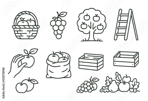 Autumn harvest linear icon set. fruit picking, farming, and gardening symbols