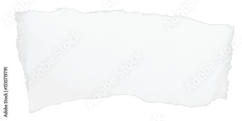 Feathered-edge white torn note asset with a smooth organic wave, ideal for flyer graphics, layout segmentation, or clean decorative overlays in minimalist editorial compositions