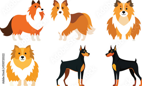 Different dogs breeds set. Cute purebred doggies, puppies. Corgi, Akita Inu, Bobtail, Border Collie, English bulldog pedigrees collection. Flat vector illustrations isolated on white background
