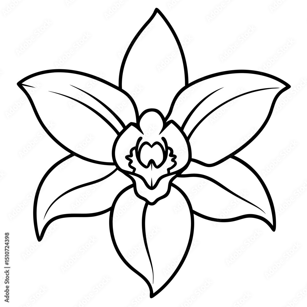 Obraz premium vector illustration of a flower