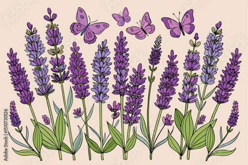 Hand Drawn Lavender Flowers and Butterflies on a Light Background