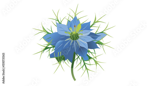 Single blue love in a mist flower botanical illustration
