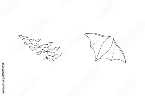 Outline illustration of a bat silhouette and a set of bat wings isolated on white