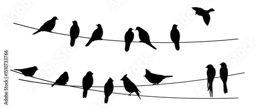 Wildlife.  Silhouettes of birds sitting on wires. Vector illustration	
