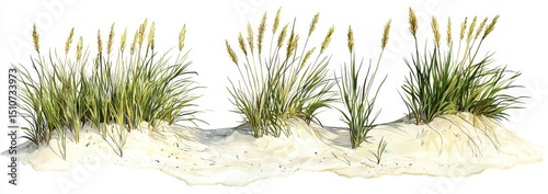 Serene sea grass depiction in a coastal setting.