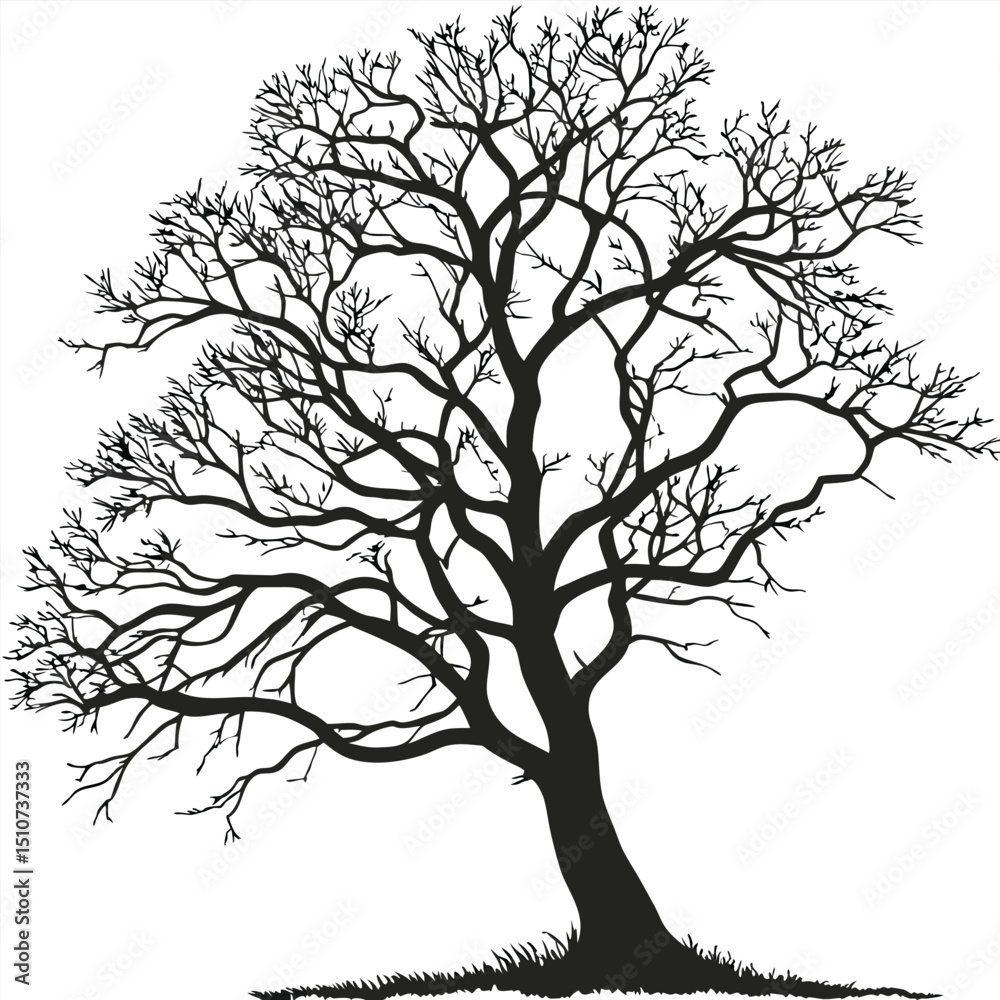 Obraz premium A bare tree silhouette with intricate branches against a plain white background illustration art