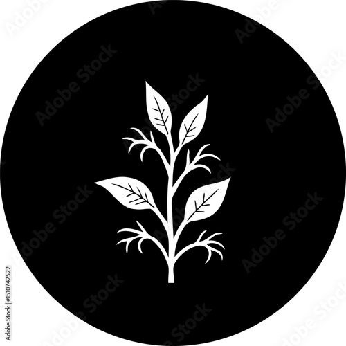 Elegant botanical emblem: a stylized white plant on a contrasting black circle