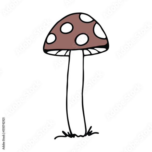 "Wild Mushroom in Forest – Organic Fungi Concept for Nature, Foraging, and Culinary Design"