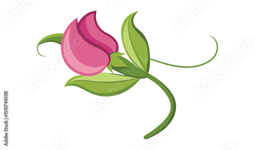 Sweet pea flower blossom illustration green leaves