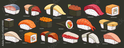 Sushi set vector illustration. Traditional Japanese food with nigiri, maki, uramaki, and temaki rolls. Seafood with rice, tuna, salmon, and nori.
