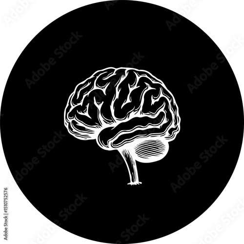 Monochrome depiction of the cerebral organ showcasing human intellect