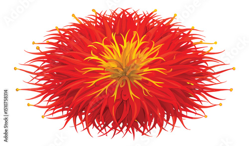 Red and yellow flower top view illustration