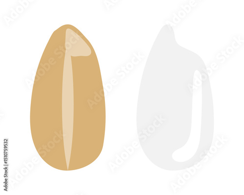 玄米と白米のイラストのセット