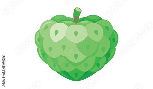 Heart shaped cherimoya fruit illustration