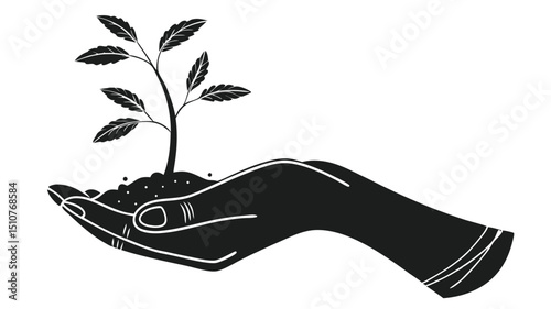 hand holding a palm leaf