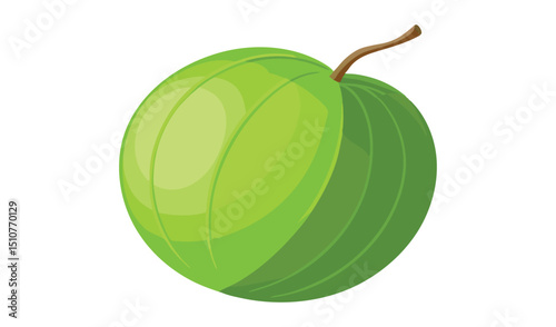 Single fresh green gooseberry fruit illustration