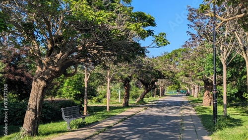 An alley in a London city park. Footpath in the spring park
