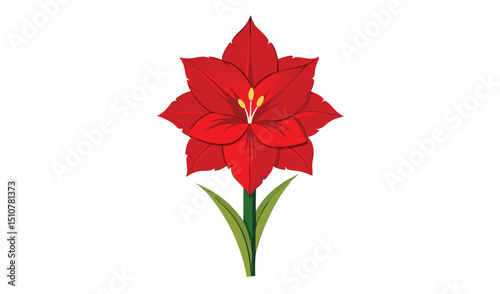 Single red amaryllis flower illustration