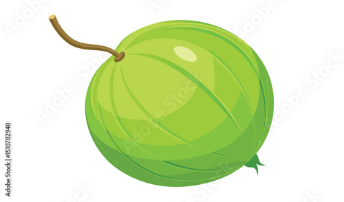 Single fresh green gooseberry with stem