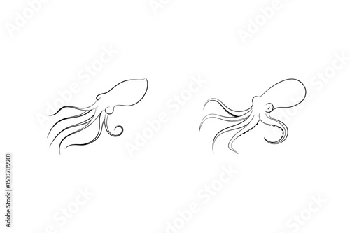 Two elegant outlined octopus sketches in minimalist line art style on a white background