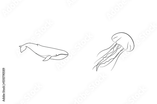 Simple line drawing of a whale and a jellyfish floating in open water
