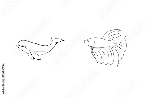 Outline illustration of a beluga whale and betta fish on a clean white background