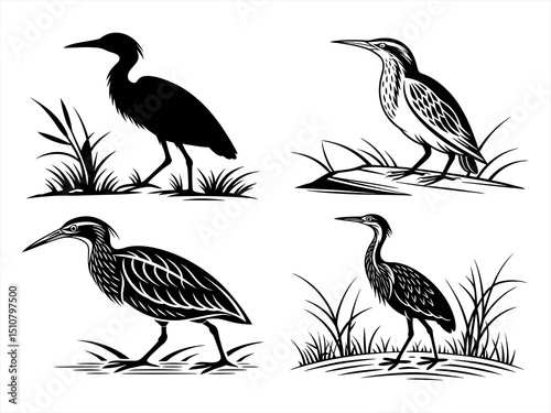 bittern silhoette black vector bundle