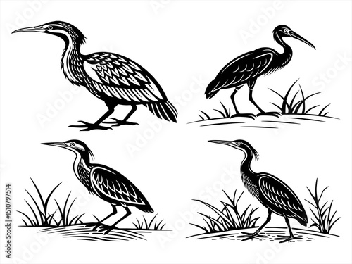 bittern silhoette black vector bundle