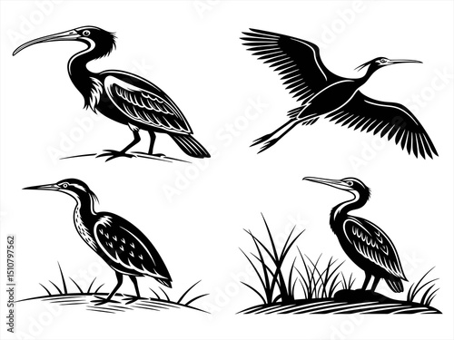 bittern silhoette black vector bundle