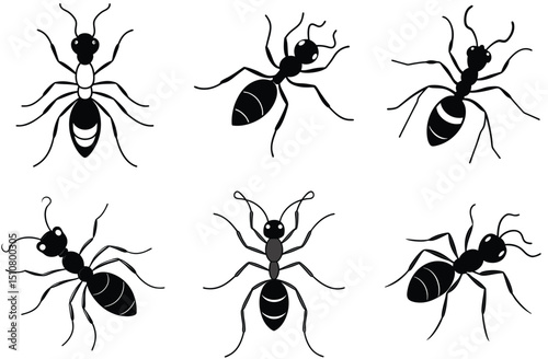 A seamless pattern of black ant insects, beetles, and other bugs a vector animal illustration set