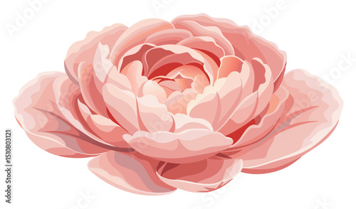 Elegant blush pink peony flower illustration