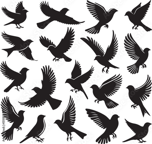 Vector Silhouettes of Flying Birds and Eagles