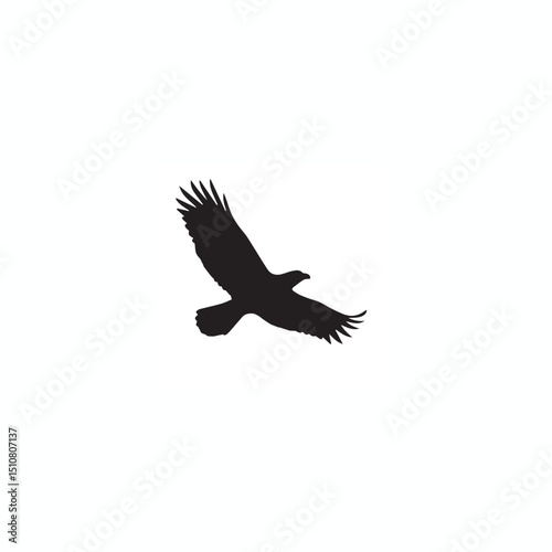 Black Silhouette of Large Bird in Flight on White Background